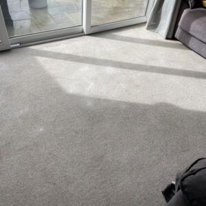 Professional Carpet Cleaning in Eastbourne, Sussex & Kent