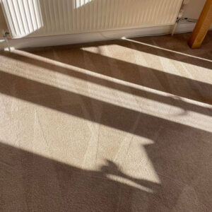 Professional Carpet Cleaning in Eastbourne, Sussex & Kent