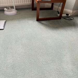 Professional Carpet Cleaning in Eastbourne, Sussex & Kent